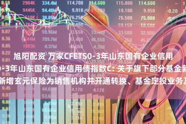 旭阳配资 万家CFETS0-3年山东国有企业信用债指数A,万家CFETS0-3年山东国有企业信用债指数C: 关于旗下部分基金新增玄元保险为销售机构并开通转换、基金定投业务及参与其费率优惠活动的公告