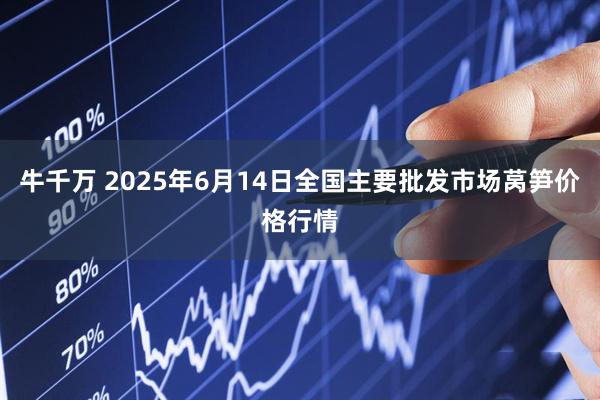 牛千万 2025年6月14日全国主要批发市场莴笋价格行情