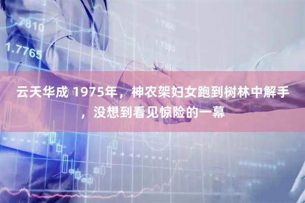 云天华成 1975年，神农架妇女跑到树林中解手，没想到看见惊险的一幕