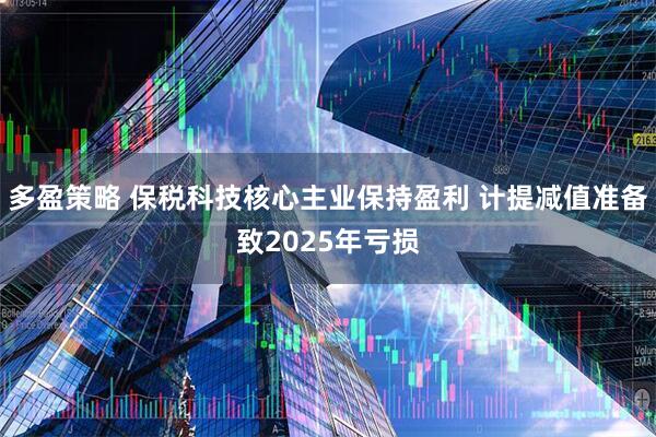 多盈策略 保税科技核心主业保持盈利 计提减值准备致2025年亏损